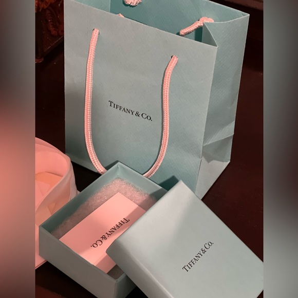 Tiffany & Co. Bag and Box - Picture 3 of 5
